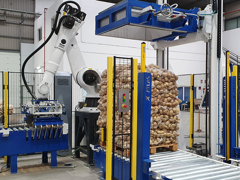 Robot paletizador de patatas y cebollas
